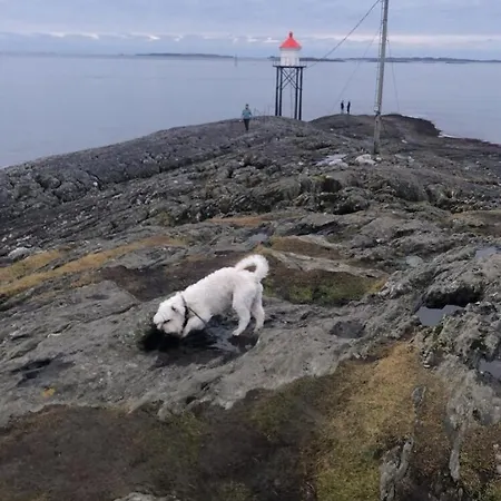 Cozy Flat In Haugesund